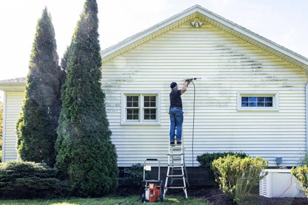 Best Commercial Building Pressure Washing  in Comstock Park, MI